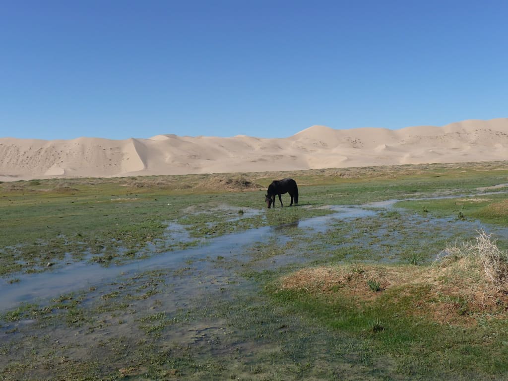  Пустыня Гоби, Монголия 
