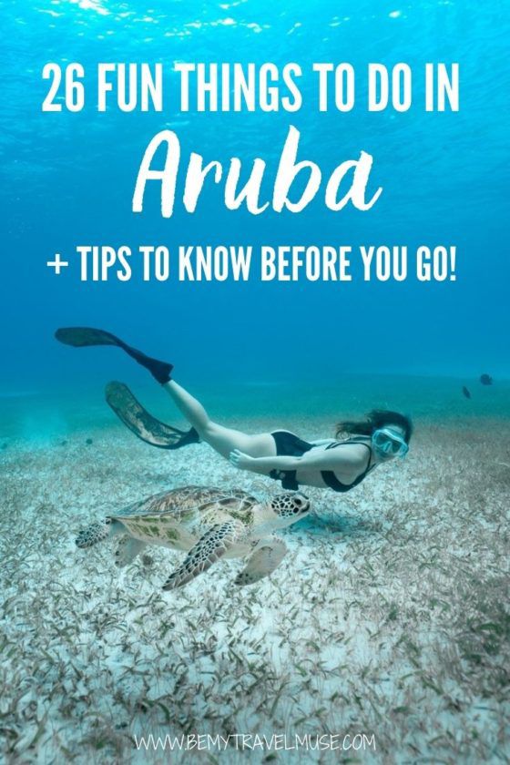  Скоро приедете в Арубу? Вот 26 интересных вещей, которыми можно заняться на Арубе, а также советы инсайдеров, которые вы должны знать перед поездкой. Посмотрите, где находятся лучшие пляжи, уникальные места, такие как пещеры, природный бассейн, мосты, рестораны и места для подводного плавания / подводного плавания. Если вы планируете маршрут по Арубе, этот список поможет вам выяснить, чем лучше всего заняться в стране. #Aruba 