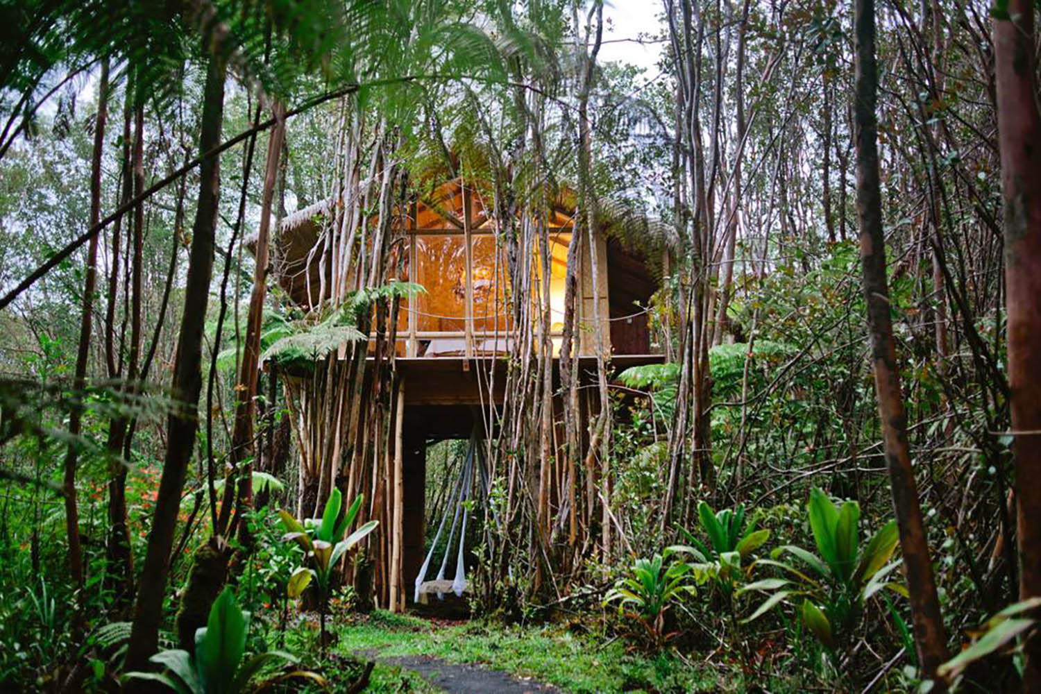  Мечтательный тропический домик на дереве Гавайи Airbnb 