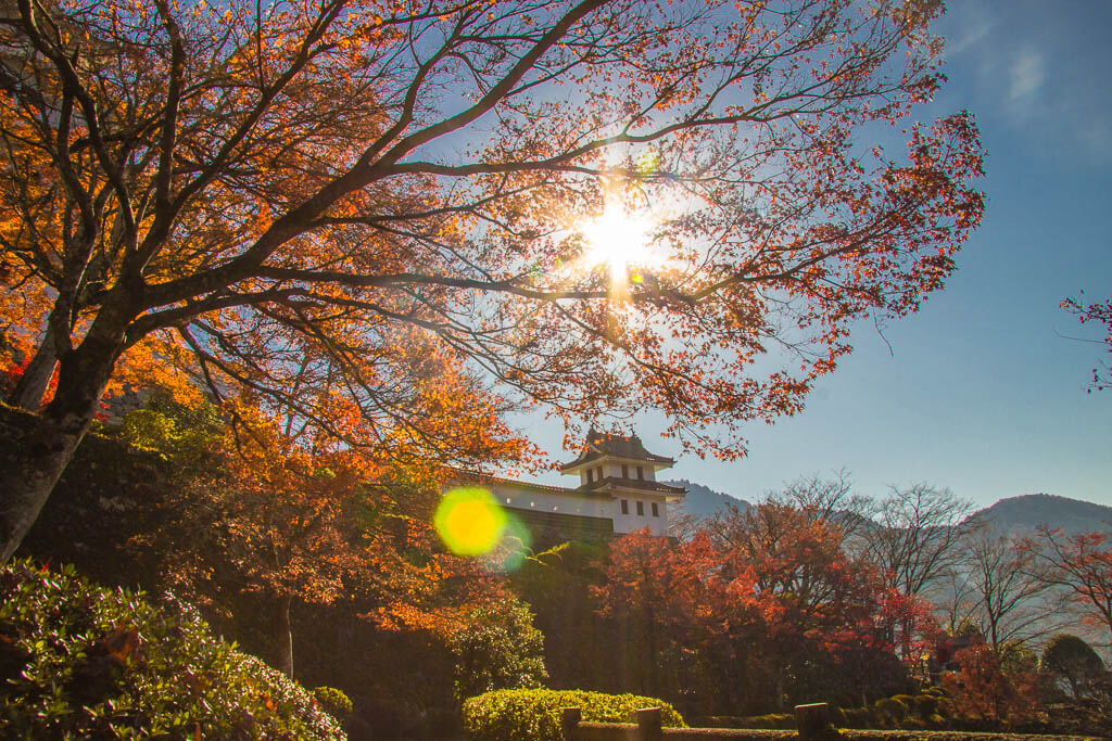  Осень в Японии в замке Гудзё Хатиман 