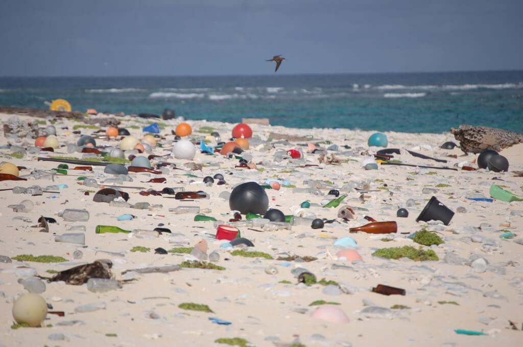  Пляж, полный пластика 