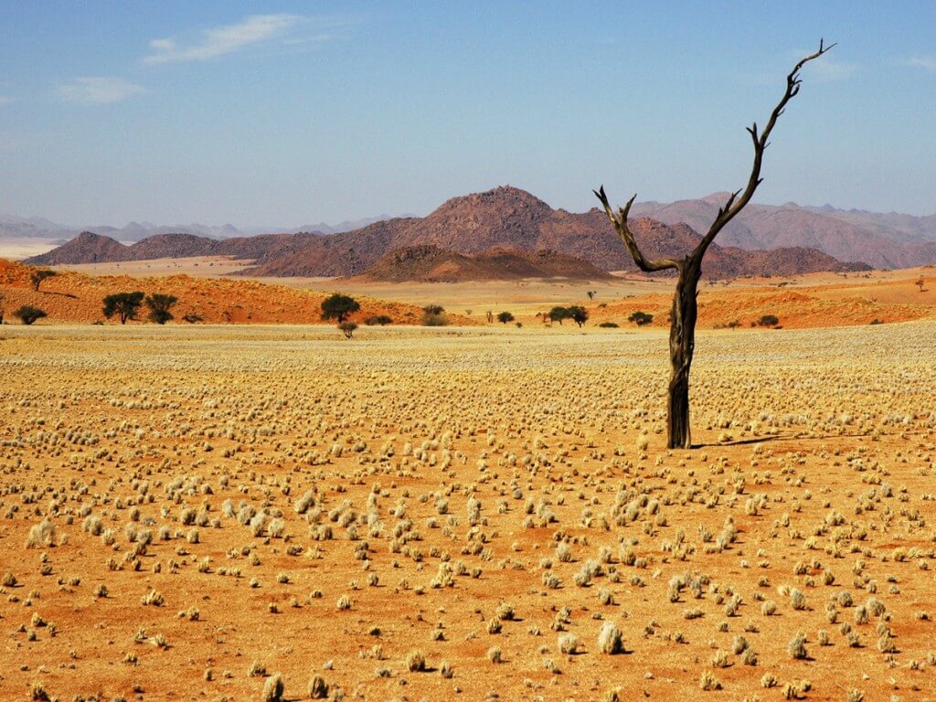  Пустыня Намиб, Намибия, Африка 