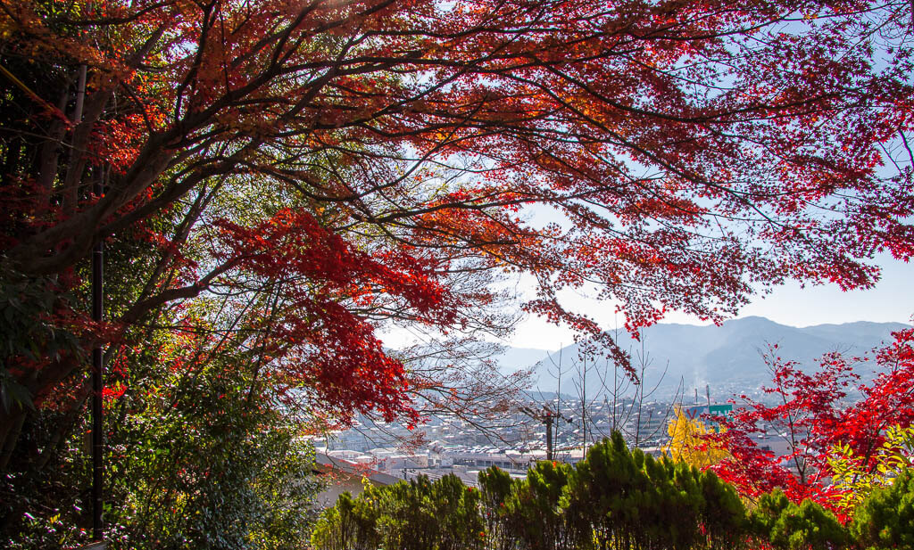  Осенние краски на прогулке Накасендо 