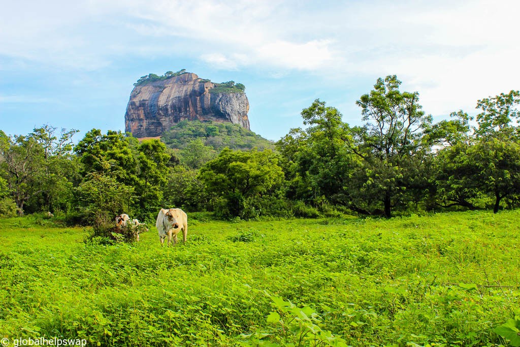  Лучшие места для посещения в Шри-Ланке 