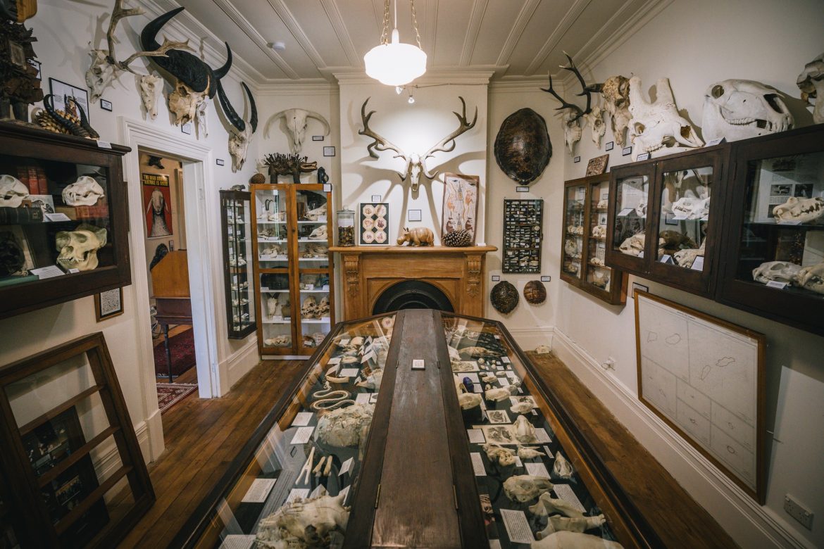 Самый необычный музей Новой Зеландии полон тайн (и костей)