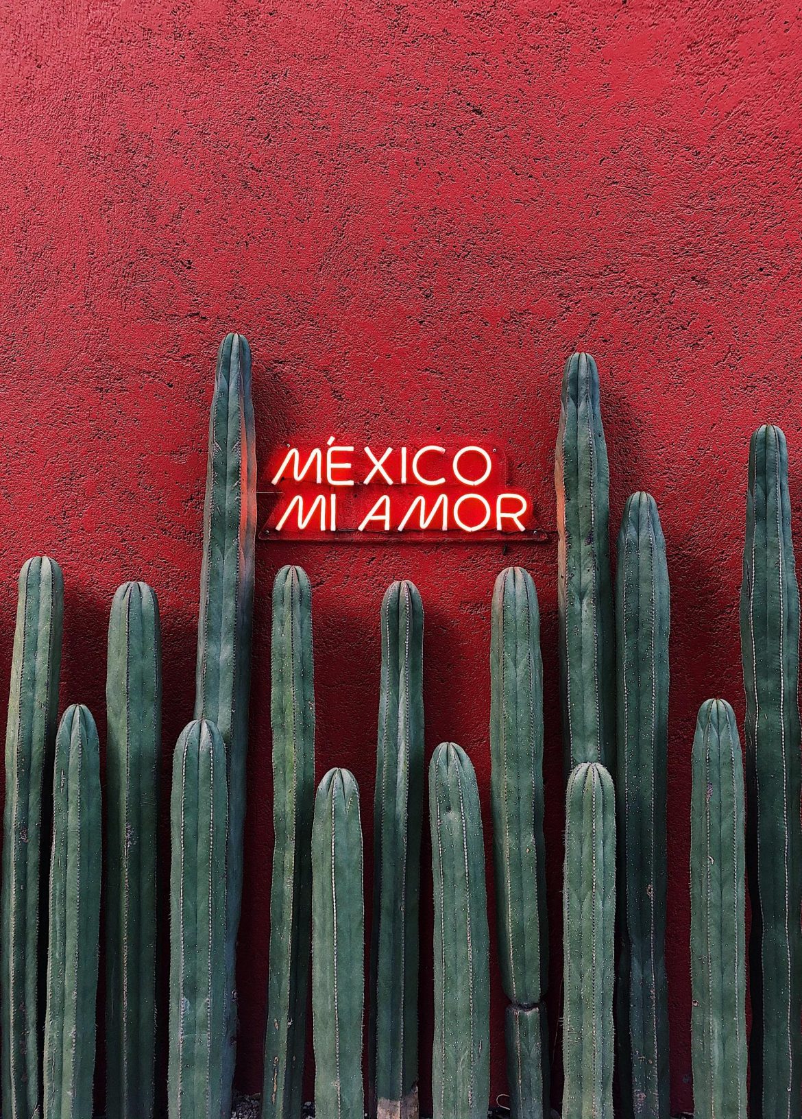 Как оставаться в безопасности в Мехико