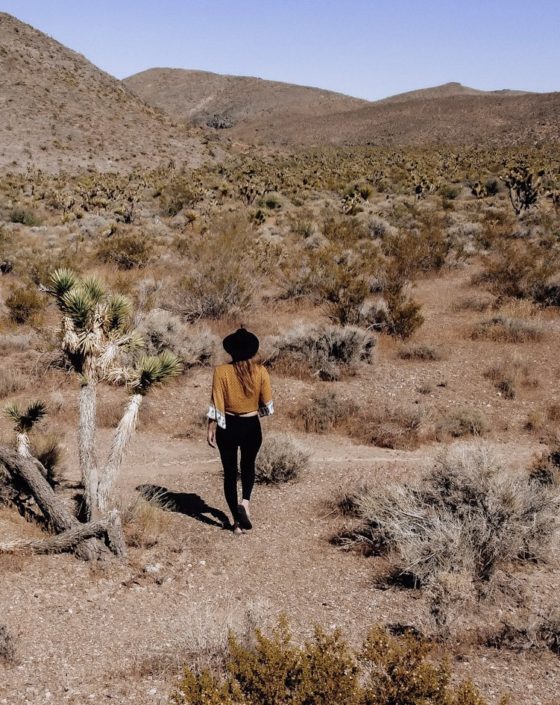  Моника гуляет по пустыне Мохаве в Калифорнии. 