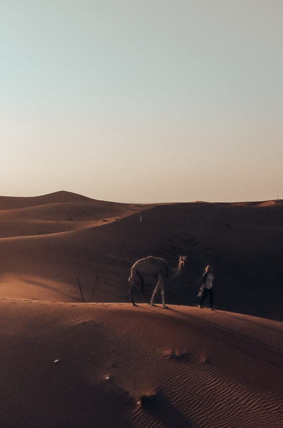  Одиночное женское путешествие по пустыне Дубая. 