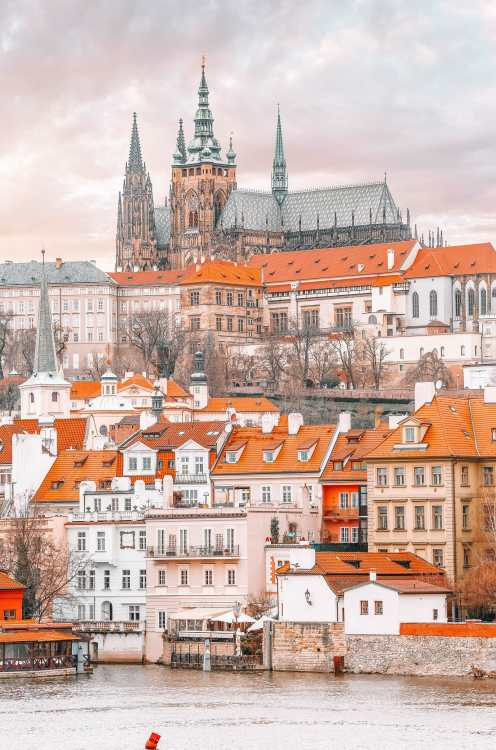  Чем заняться в Праге (4) 