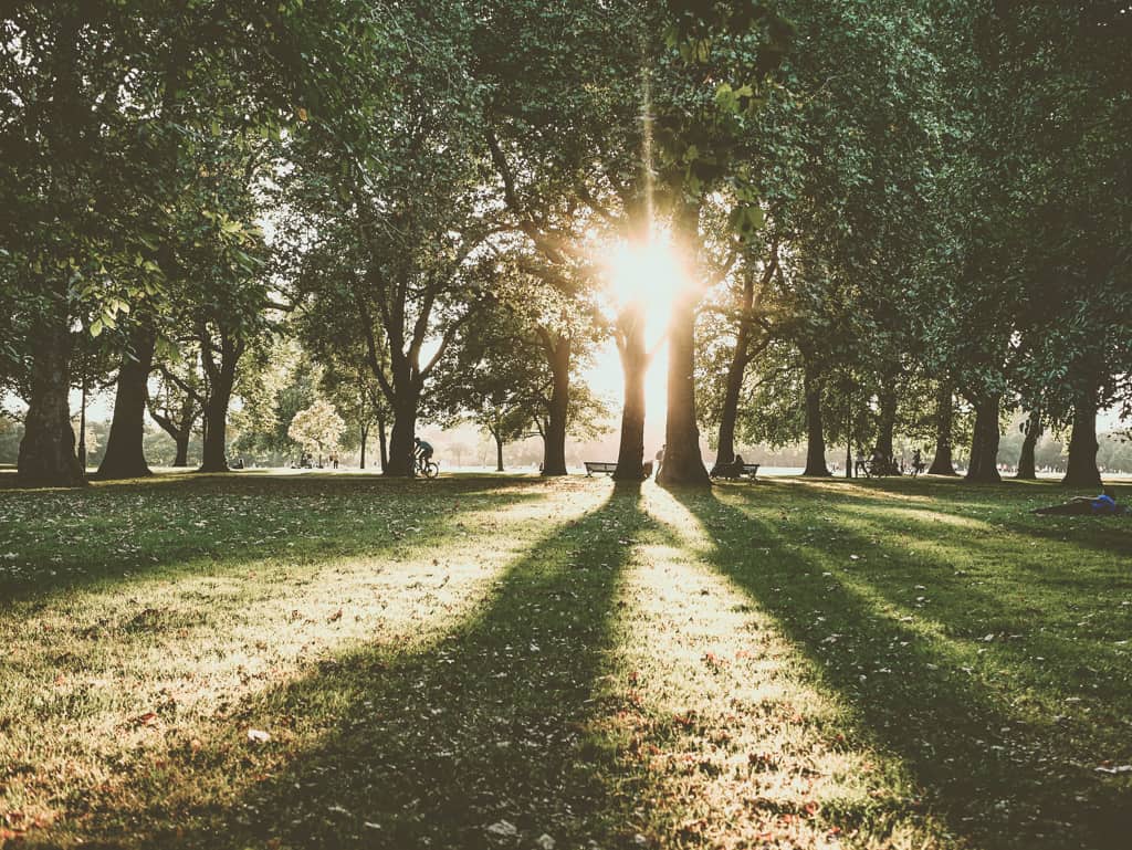 6 лучших парков в центре Лондона