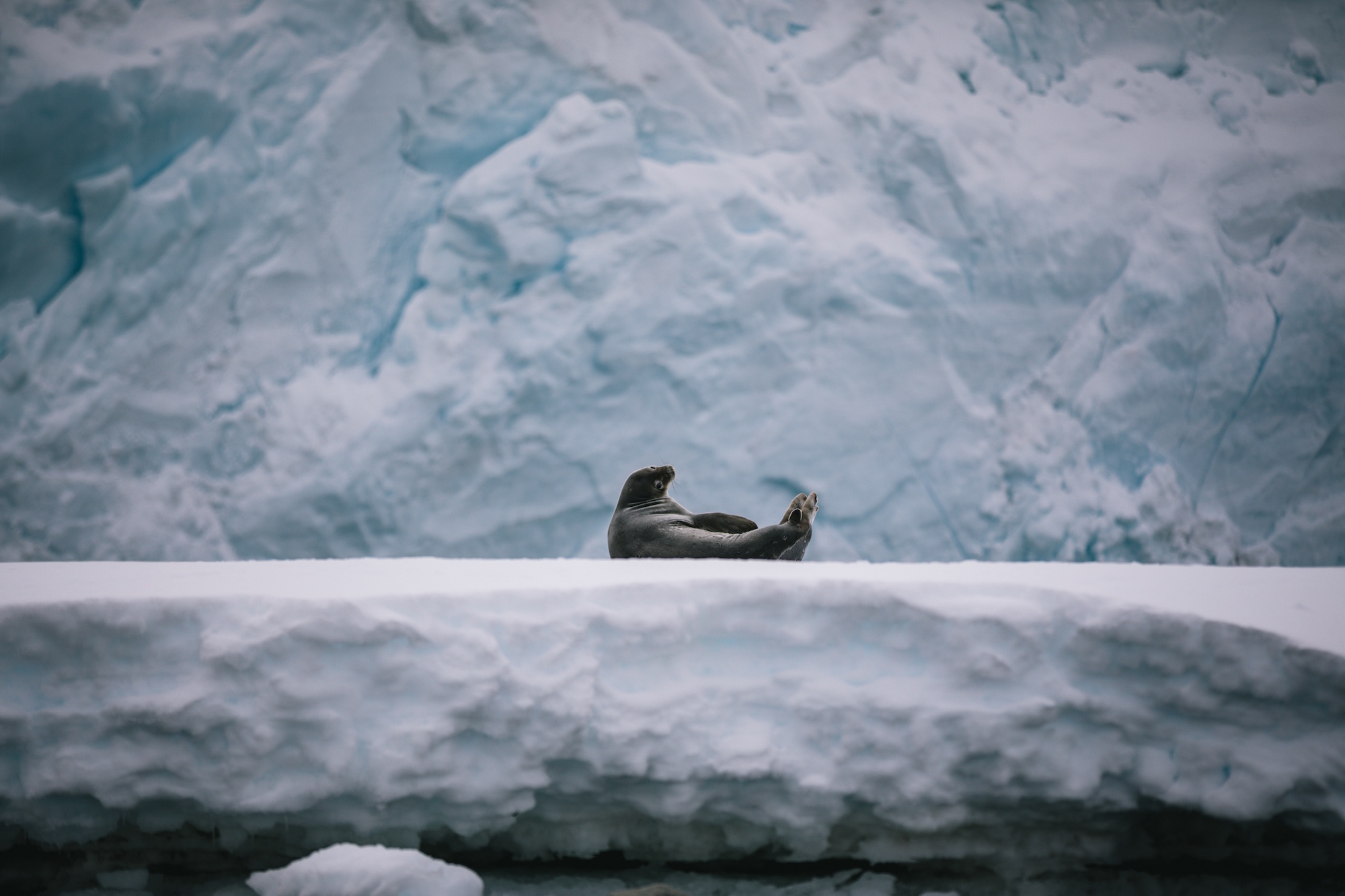 Антарктида меняет жизнь